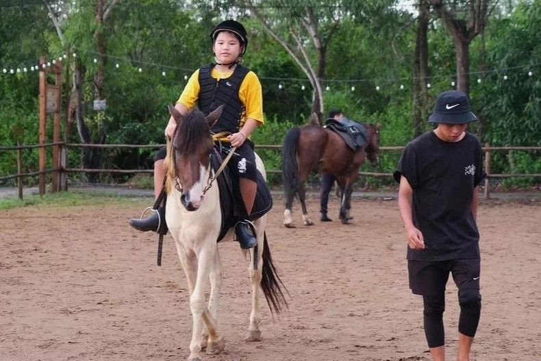 Bo tram trieu mua ngua de tap lam 'quy toc' o TP.HCM hinh anh