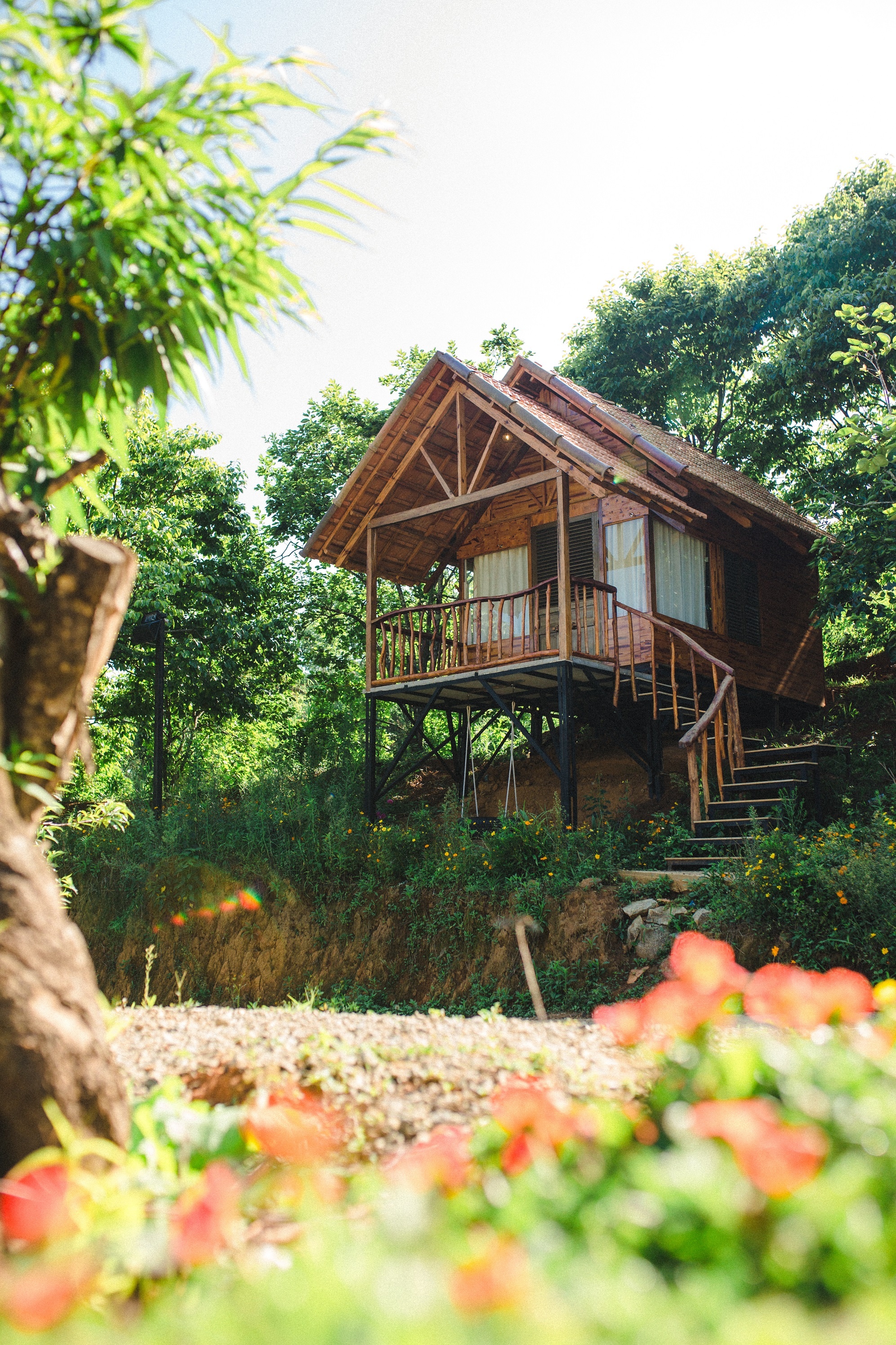 Bỏ phố về rừng ảnh 7 Bo pho ve rung anh 7