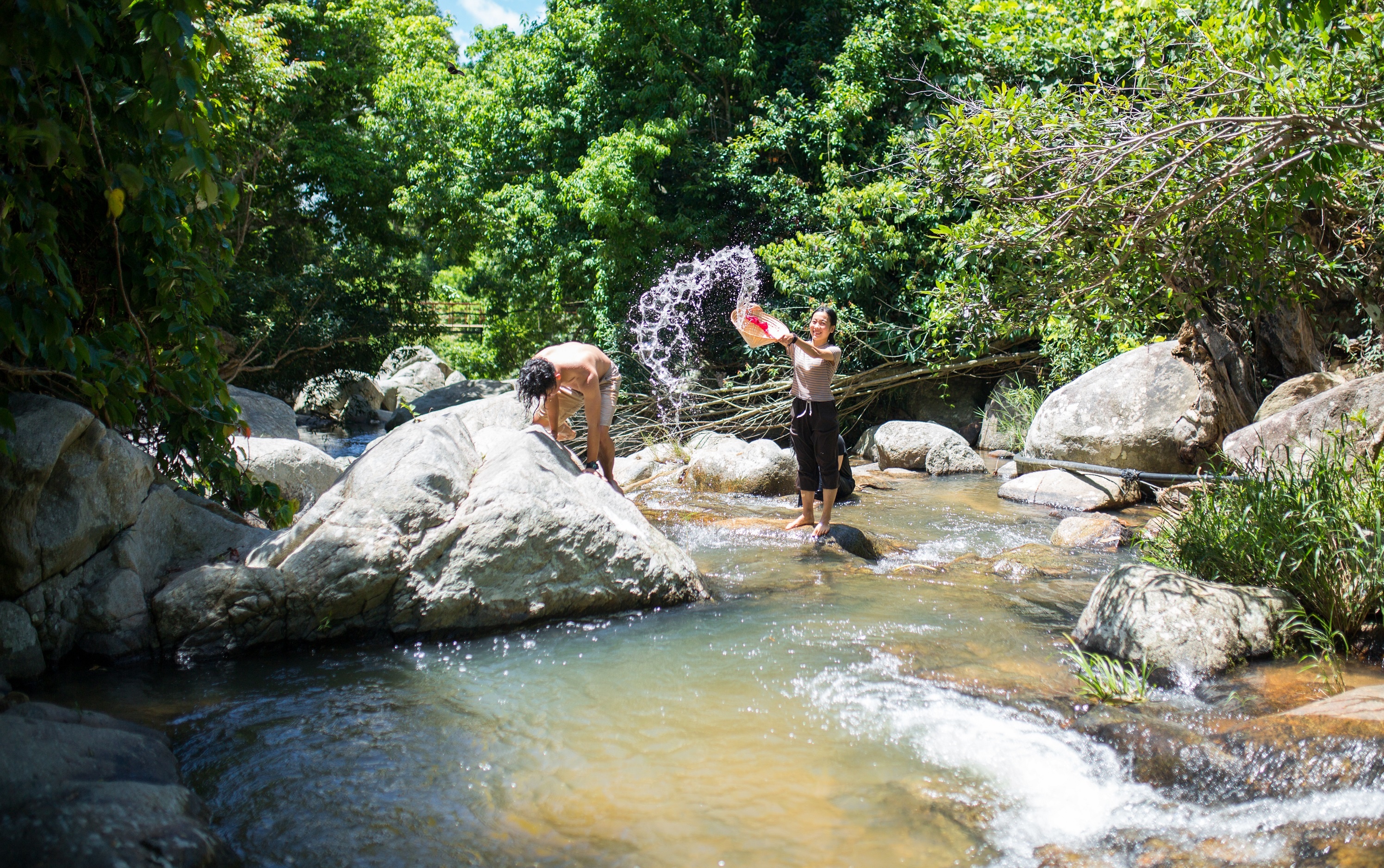 Bỏ phố về rừng ảnh 9 Bo pho ve rung anh 9