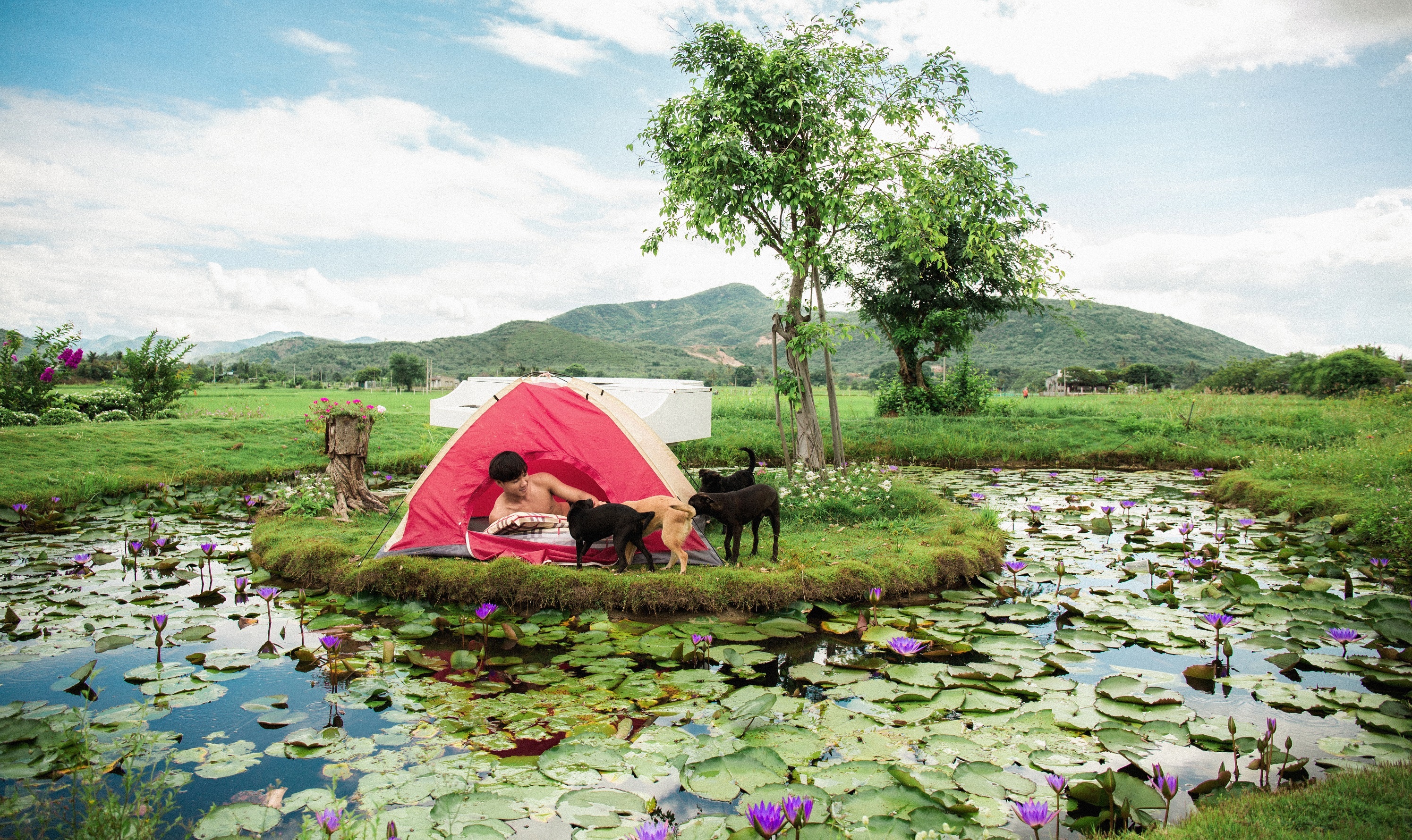 Bỏ phố về rừng ảnh 3 Bo pho ve rung anh 3