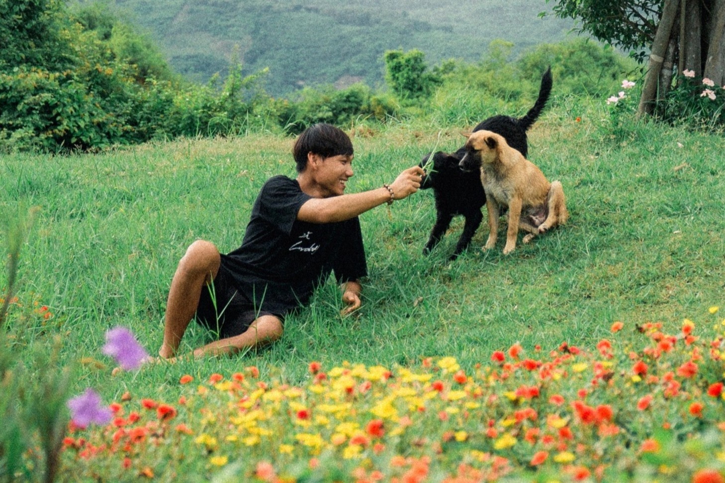 Roi TP.HCM ve que dung nha, trong hoa, lam du lich hinh anh