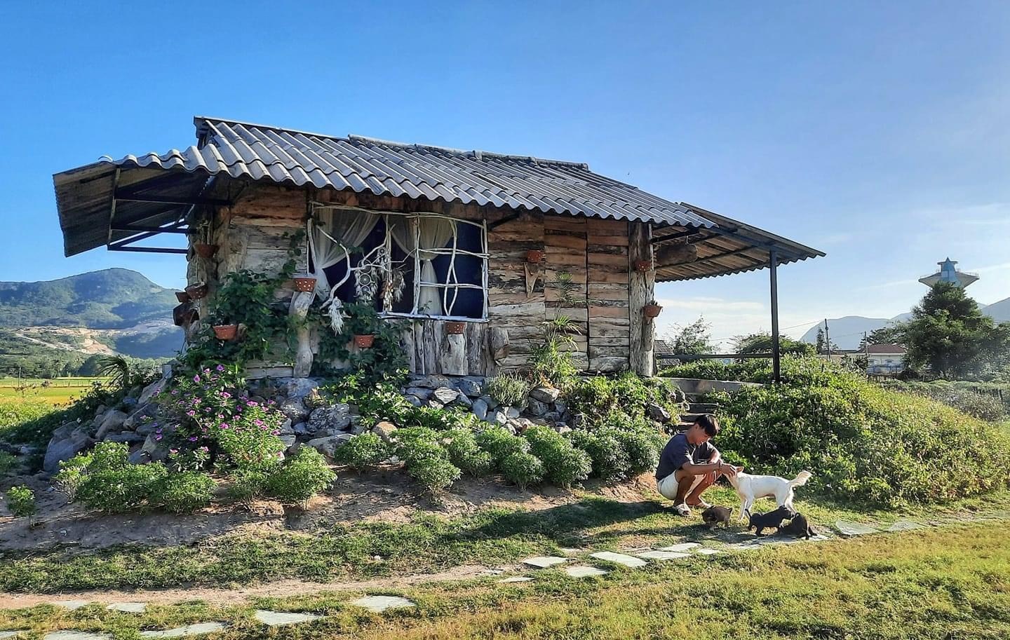 Bỏ phố về rừng ảnh 5 Bo pho ve rung anh 5