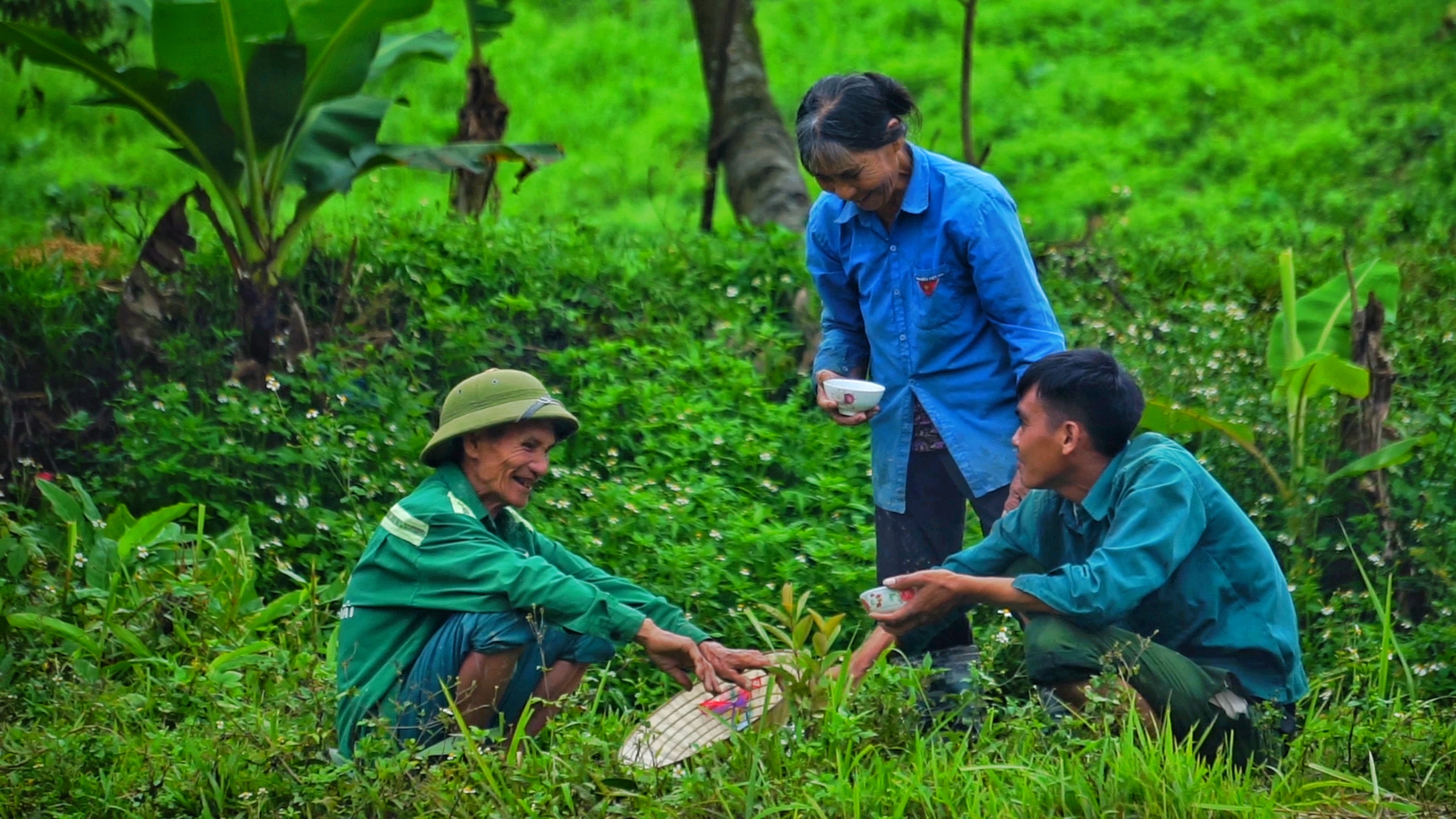 Bỏ phố về quê ảnh 1 Bo pho ve que anh 1