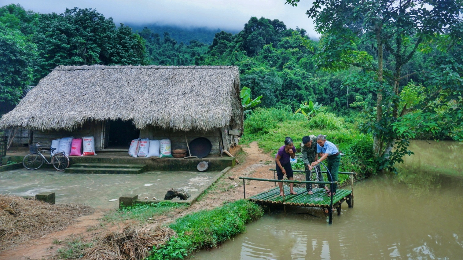 Bỏ phố về quê ảnh 7 Bo pho ve que anh 7