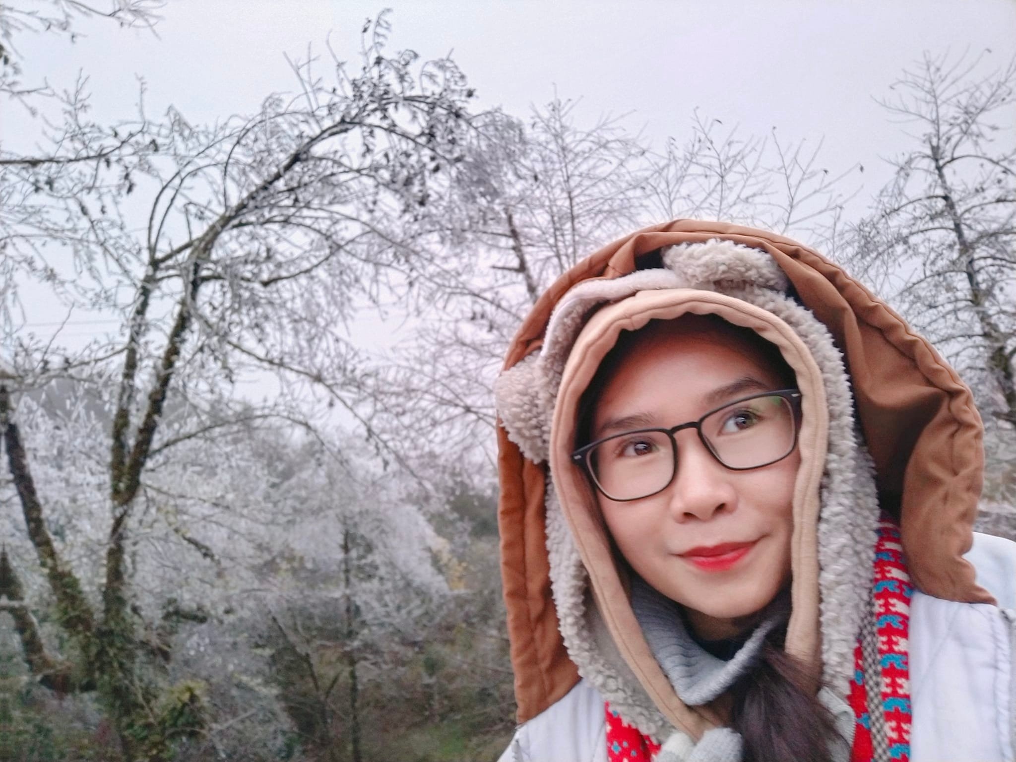 Bỏ phố về rừng ảnh 3 Bo pho ve rung anh 3