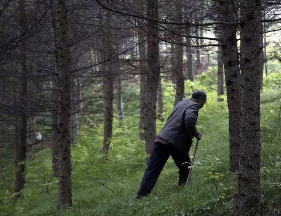 Nguoi dan ong Trung Quoc tron con de tham vo nam vien hinh anh