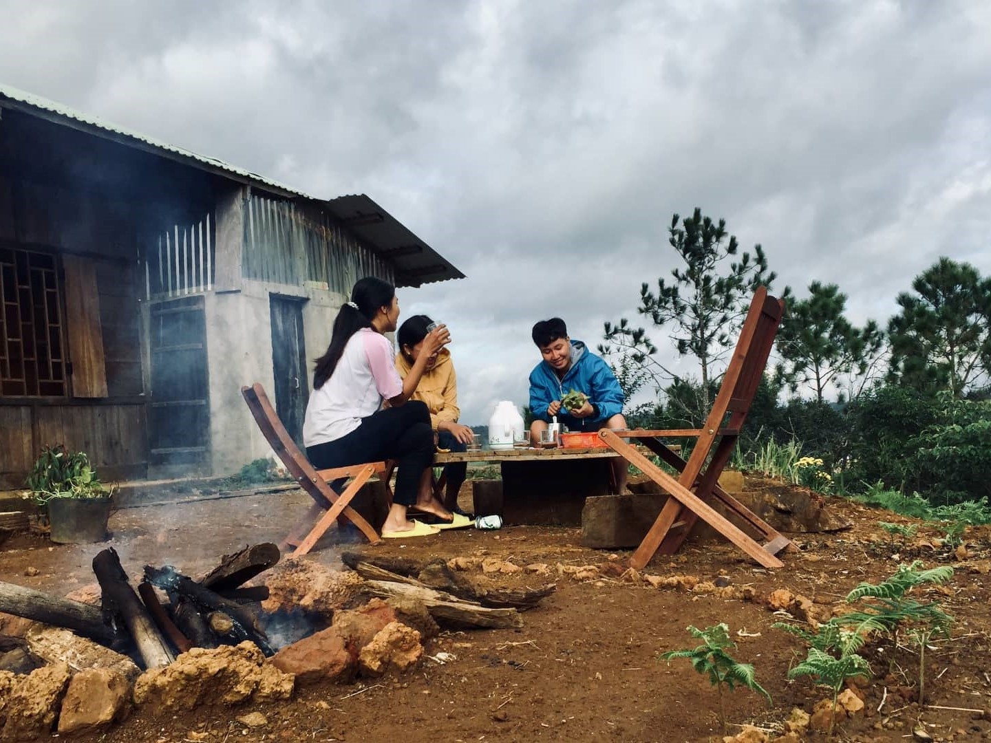 Roi bien len rung anh 4