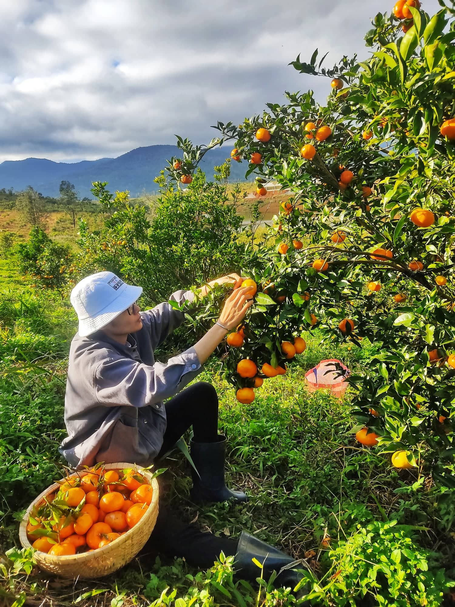 Roi bien len rung anh 3