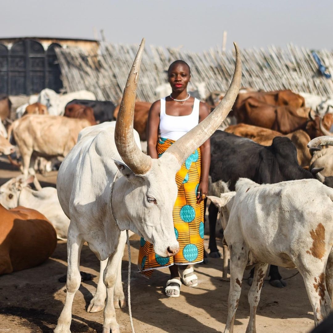 Đi vòng quanh thế giới ảnh 6 Di vong quanh the gioi anh 6