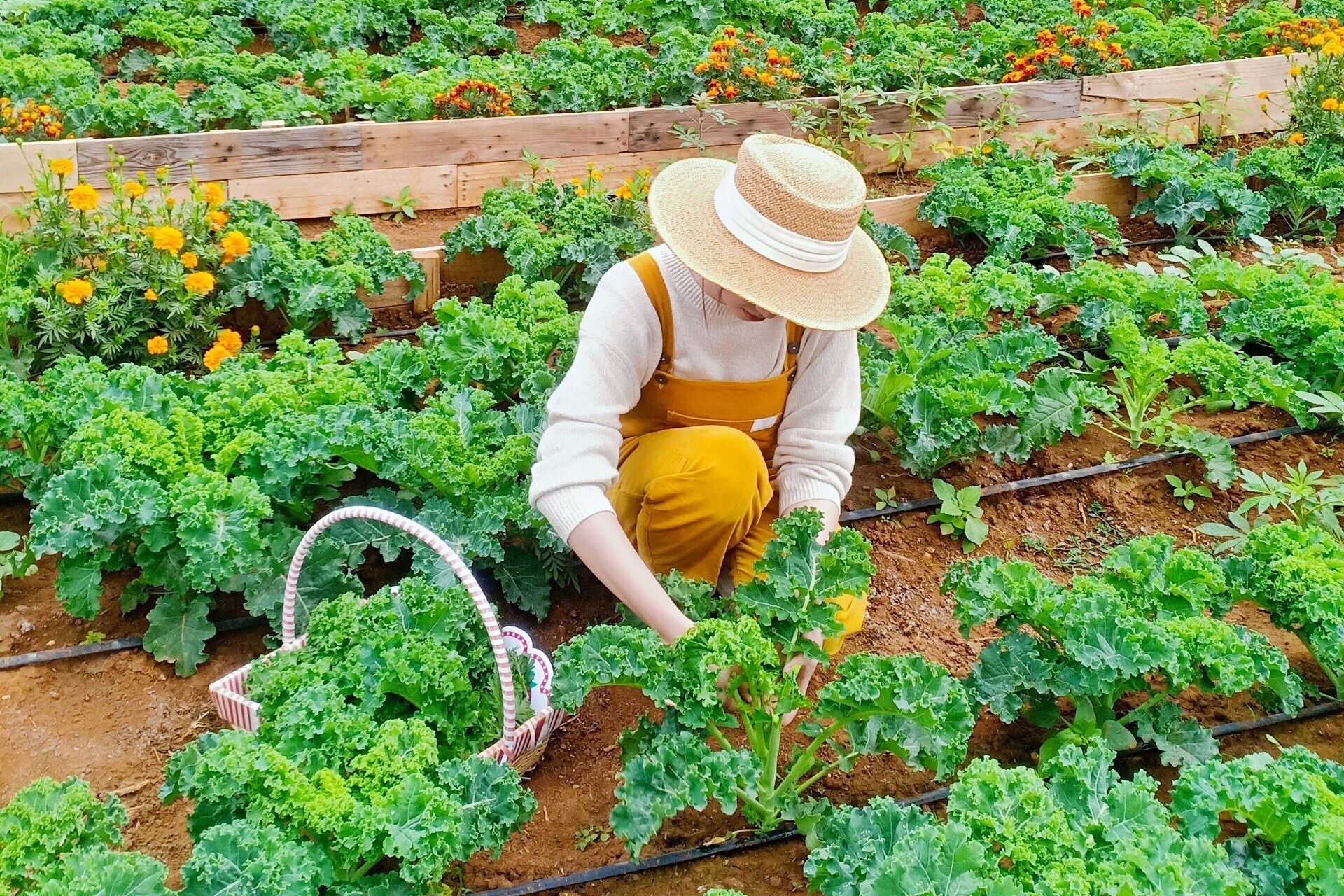 Co gai cai tao nha kho cu thanh homestay hinh anh