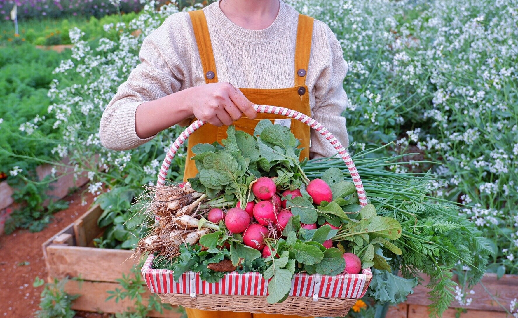 Cải tạo nhà cũ thành homestay ảnh 14 Cai tao nha cu thanh homestay anh 14