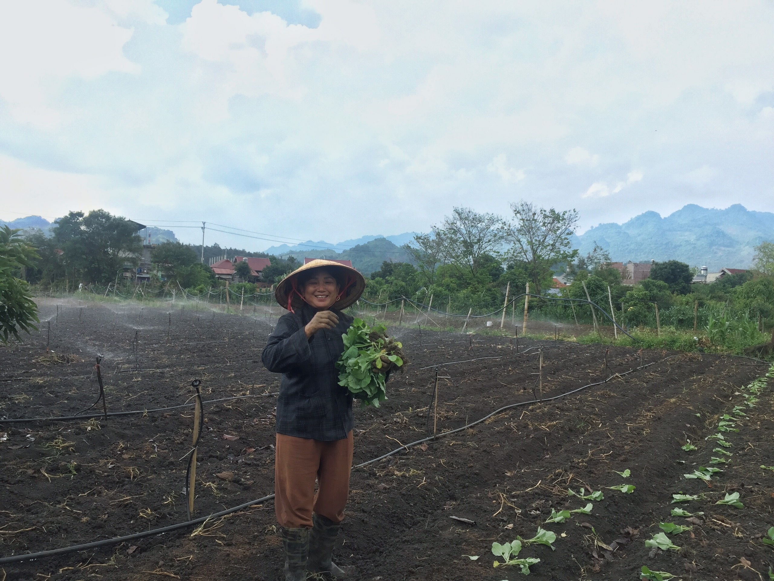 Cải tạo nhà cũ thành homestay ảnh 7 Cai tao nha cu thanh homestay anh 7