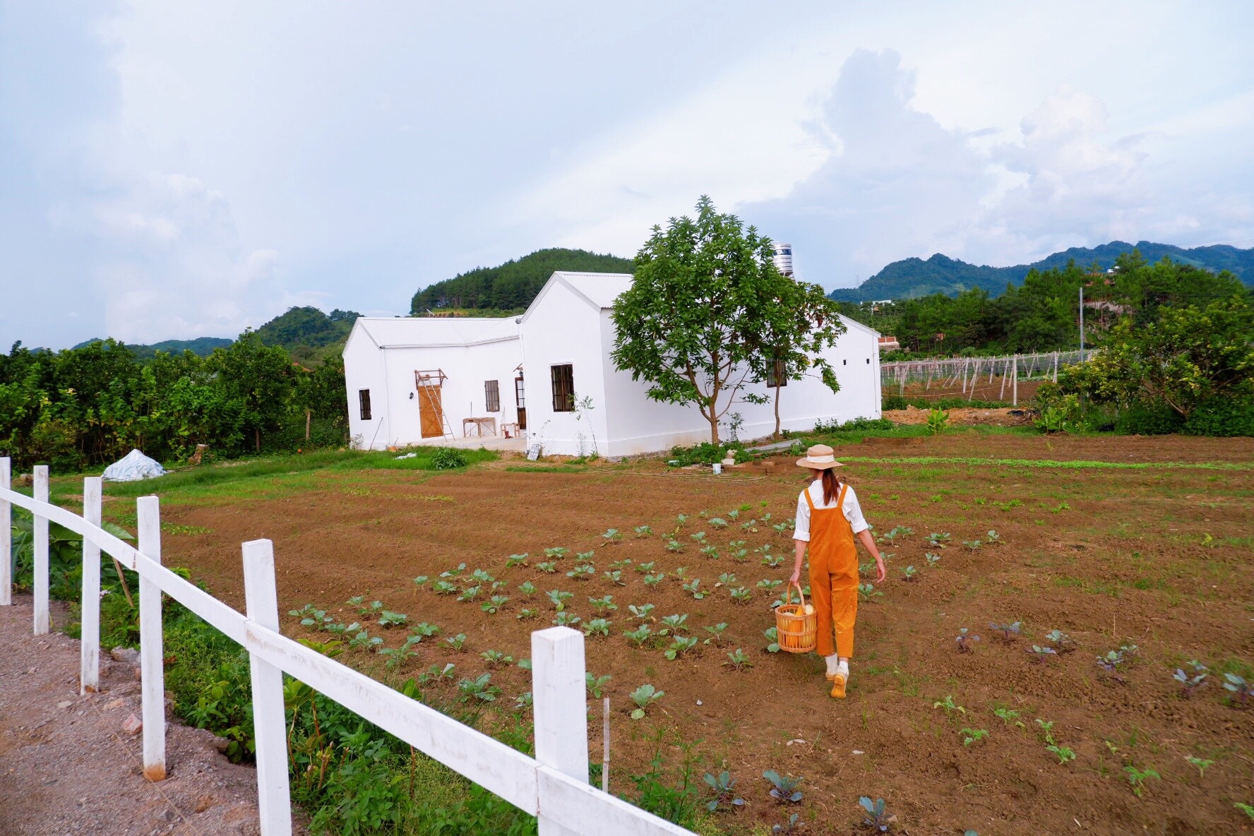 Cải tạo nhà cũ thành homestay ảnh 13 Cai tao nha cu thanh homestay anh 13