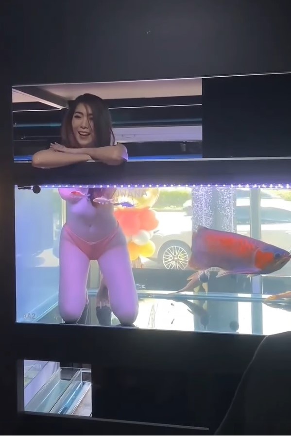 Mac bikini ngoi trong be ca anh 1