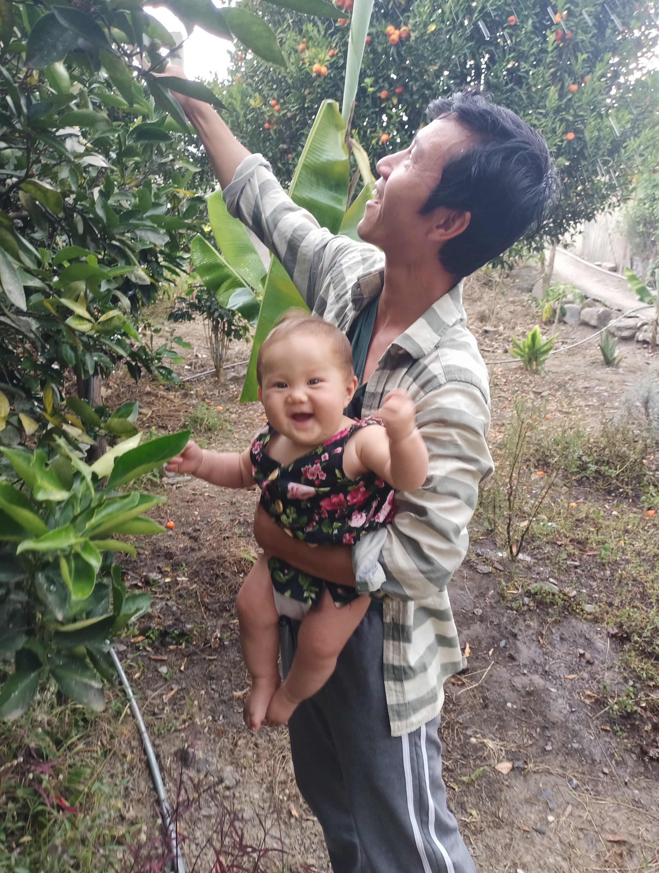 Bỏ phố về rừng ảnh 4 Bo pho ve rung anh 4