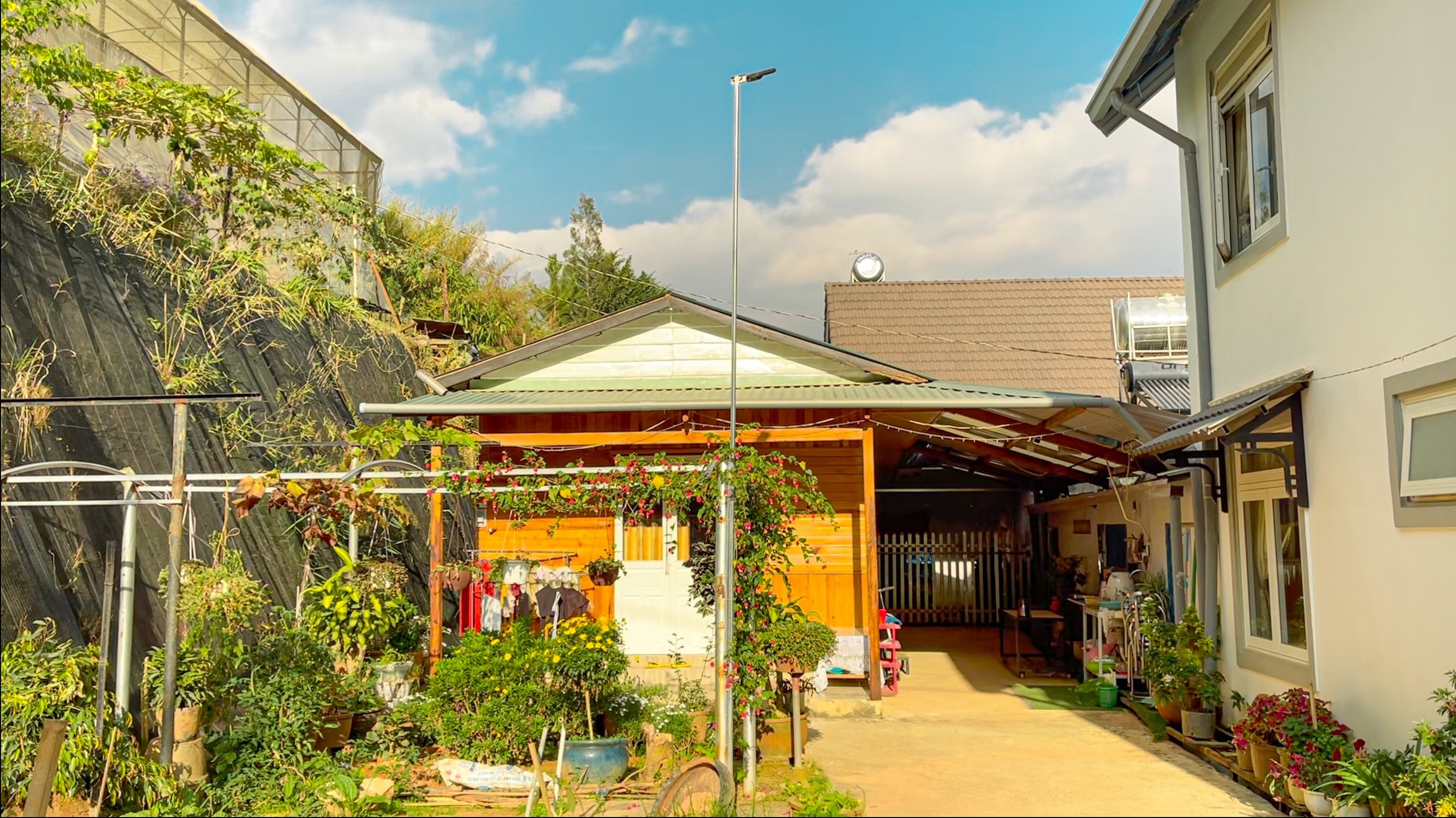 Bo viec len Da Lat anh 3