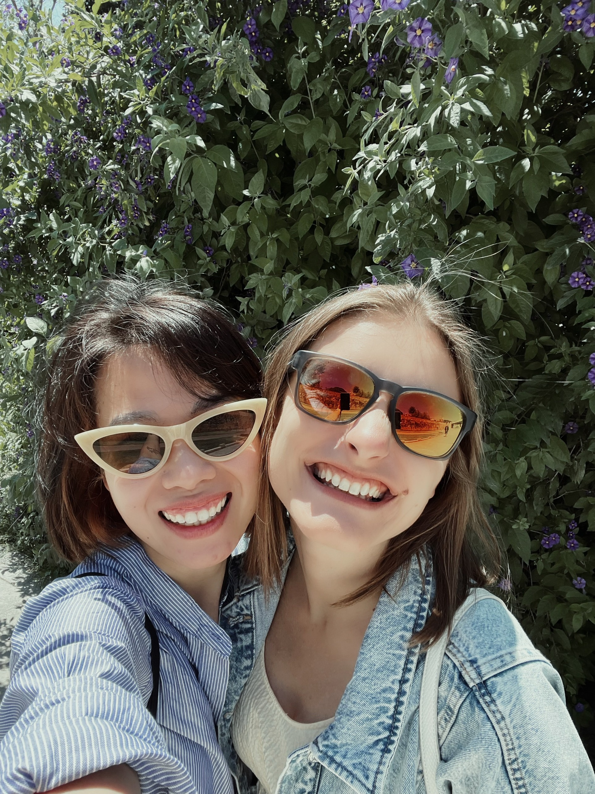 Bỏ việc lên Đà Lạt ảnh 4 Bo viec len Da Lat anh 4