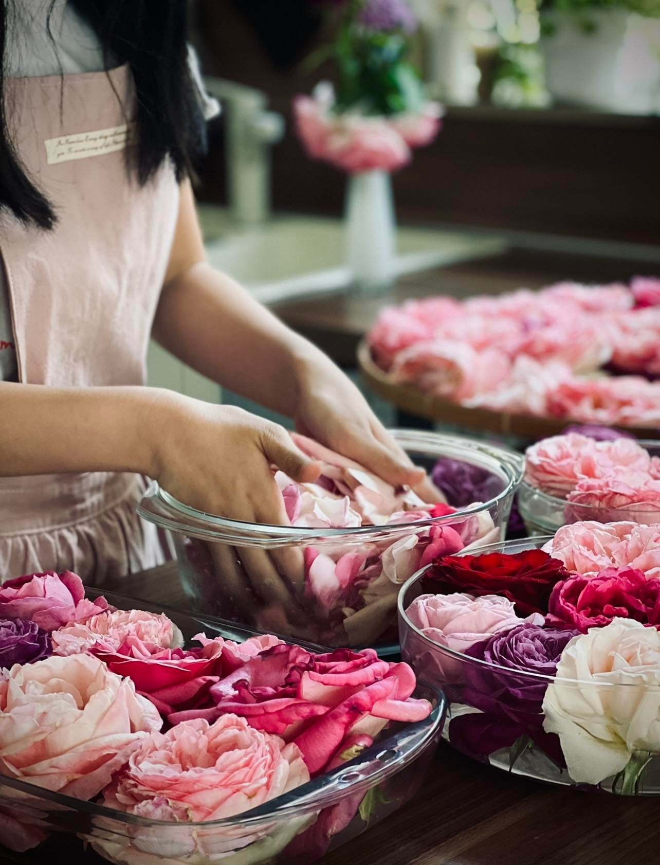 Trồng vườn ngập cây trái ảnh 10 Trong vuon ngap cay trai anh 10