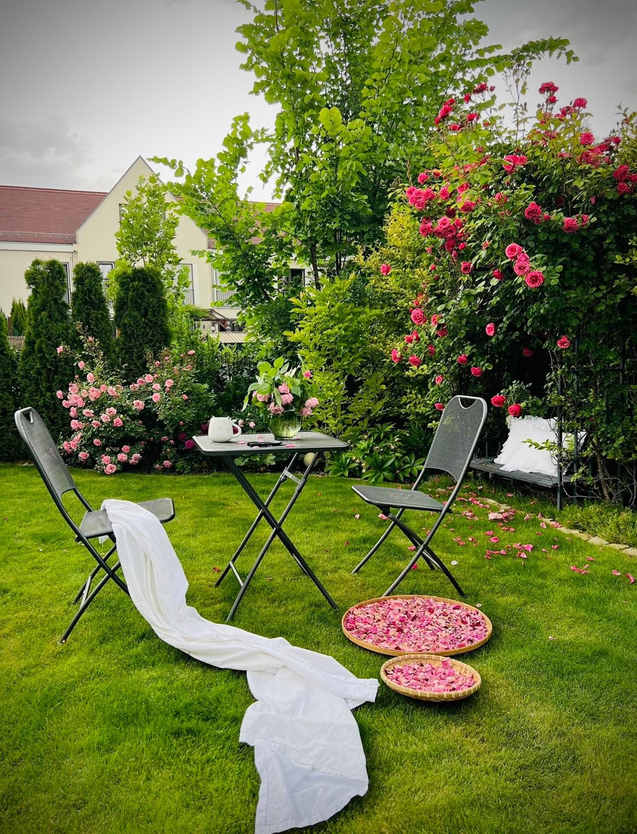 Trồng vườn ngập cây trái ảnh 2 Trong vuon ngap cay trai anh 2