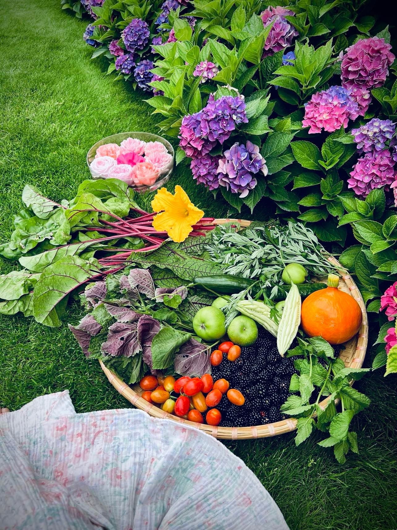 Trồng vườn ngập cây trái ảnh 7 Trong vuon ngap cay trai anh 7