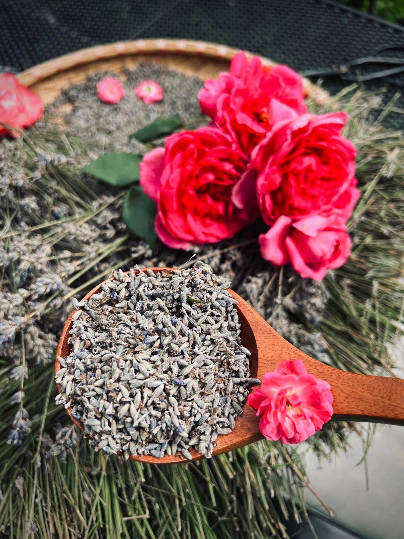 Trồng vườn ngập cây trái ảnh 9 Trong vuon ngap cay trai anh 9