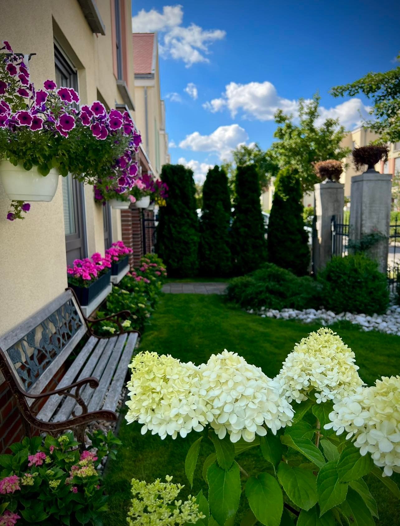 Trồng vườn ngập cây trái ảnh 1 Trong vuon ngap cay trai anh 1