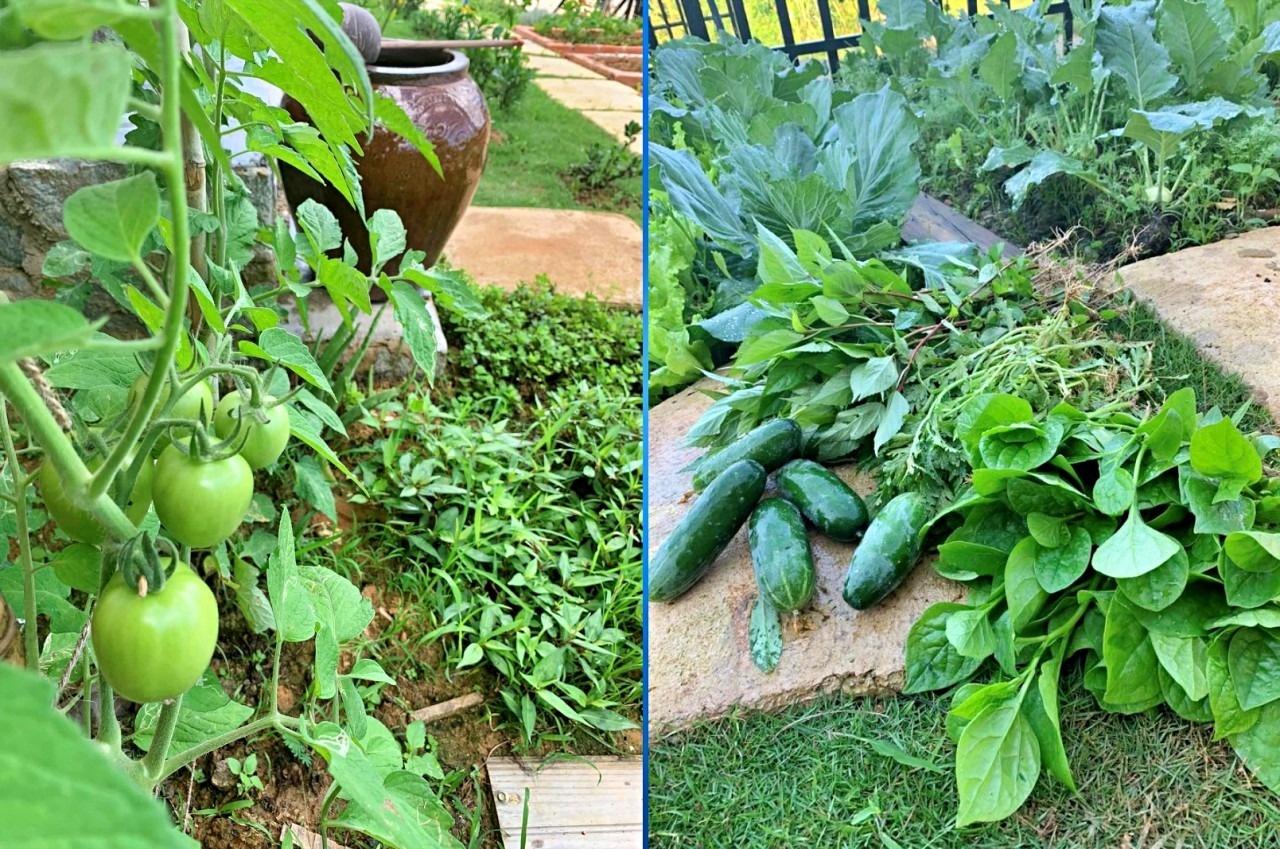 Thich de con trai anh 4