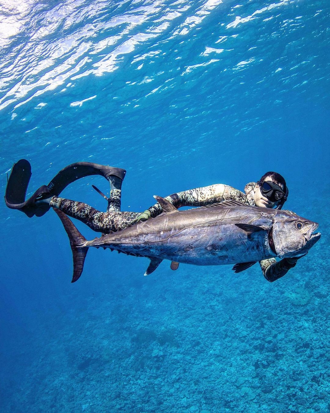 Mua bán nhà cho người siêu giàu ảnh 3 Mua ban nha cho nguoi sieu giau anh 3