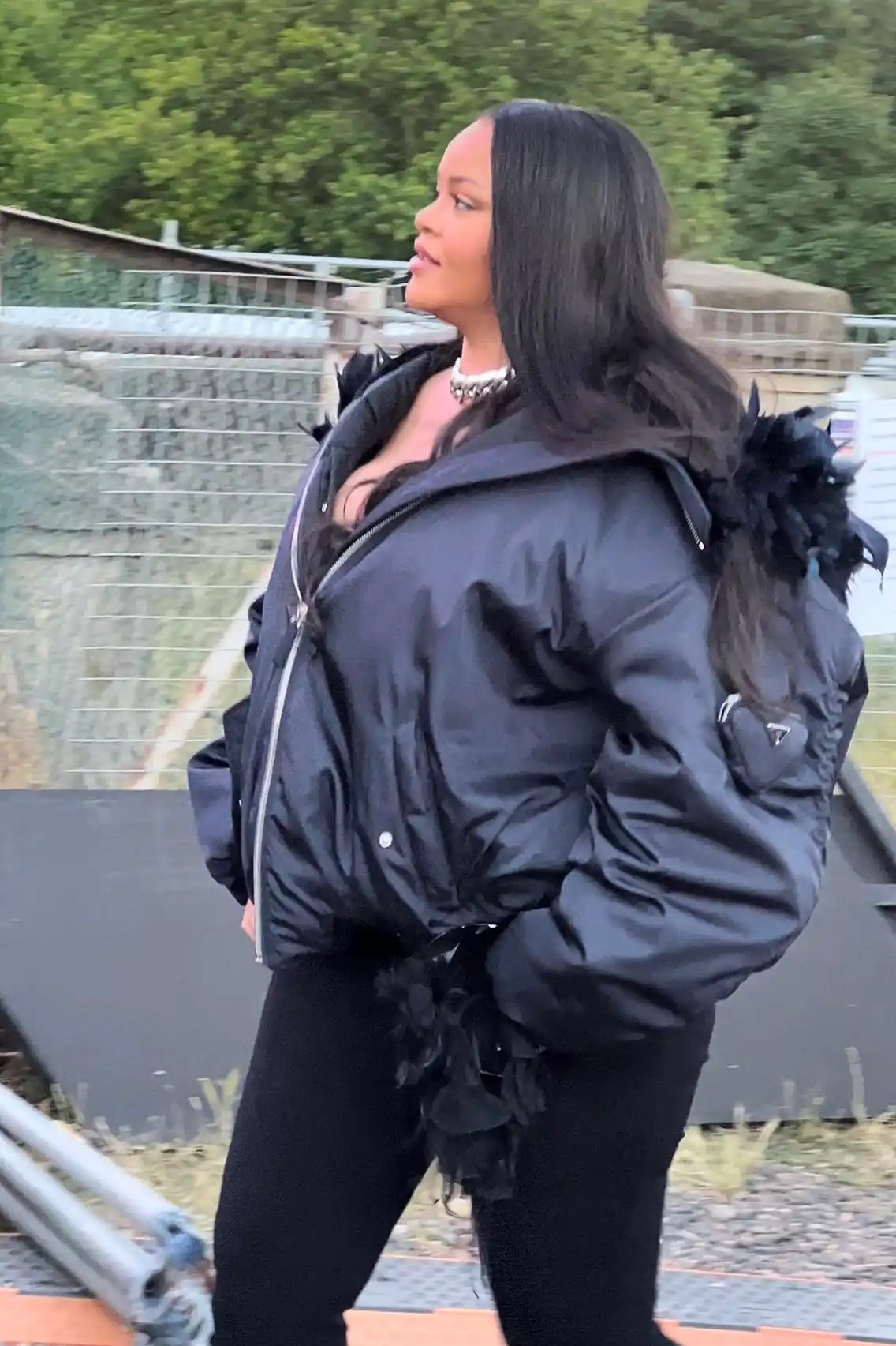 Dan ong bung bia anh 2