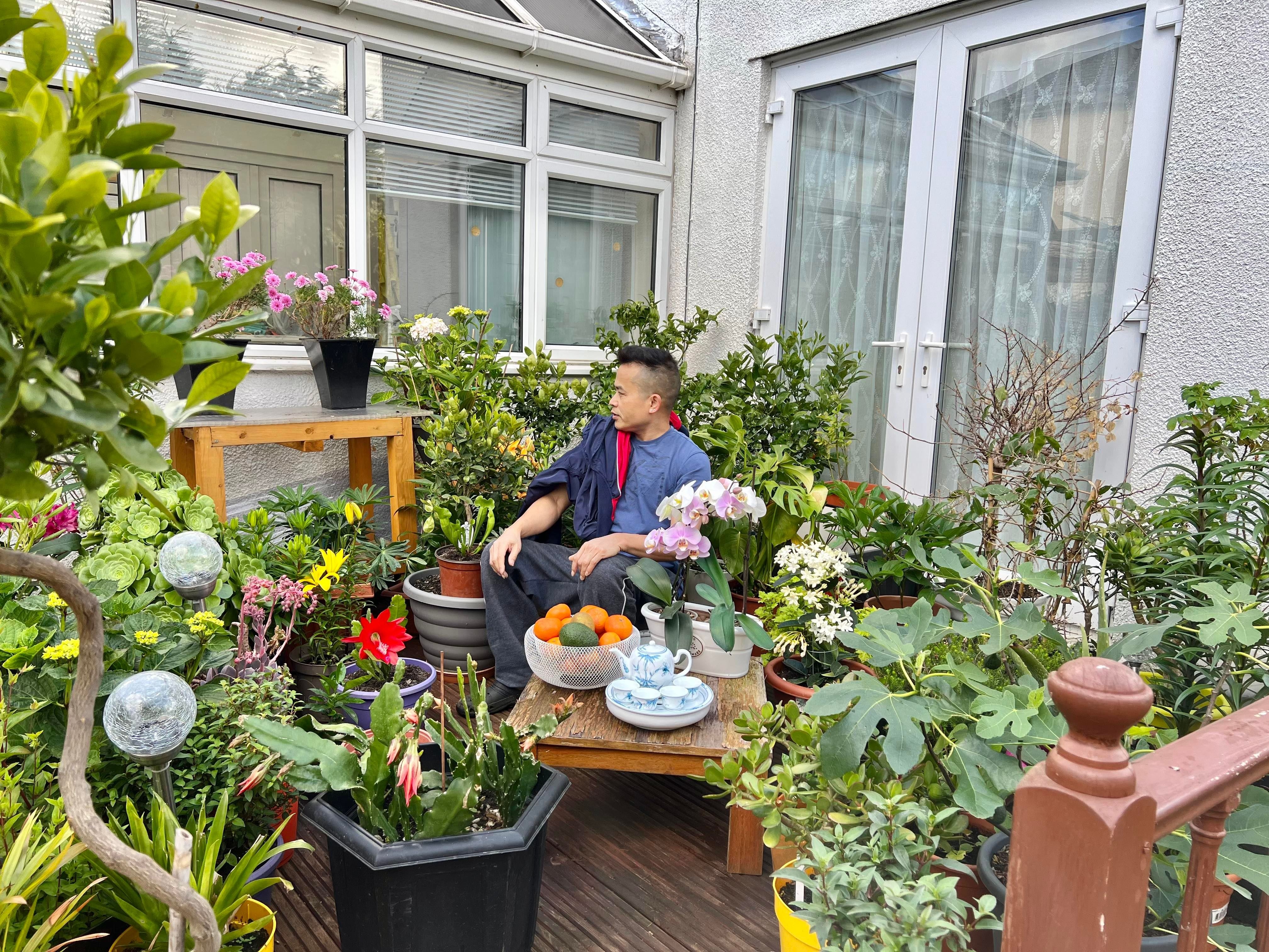 Vườn rau Việt ở Anh ảnh 9 Vuon rau Viet o Anh anh 9