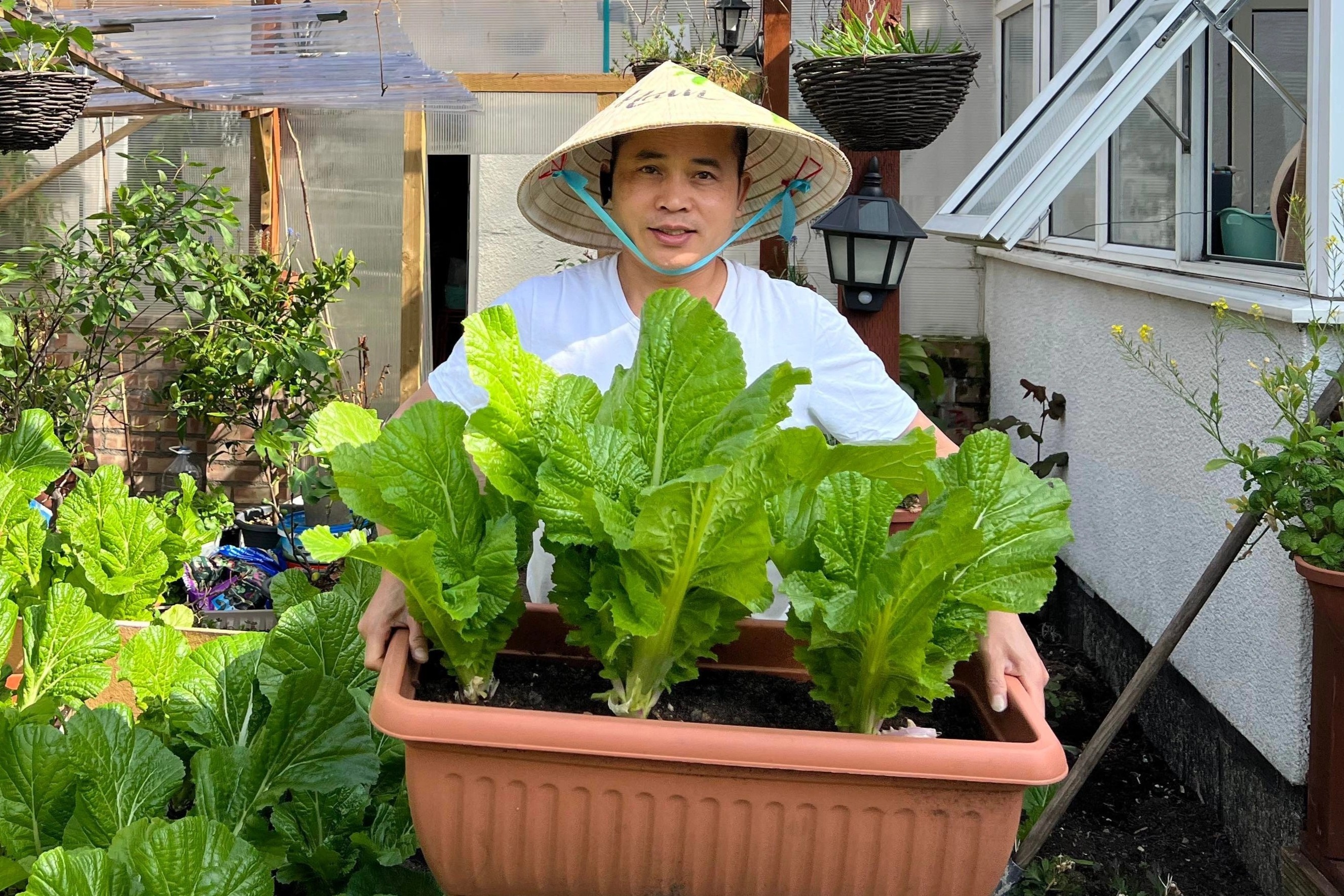 Khu vuon trong hon 100 loai rau cu Viet cua ong bo o Anh hinh anh