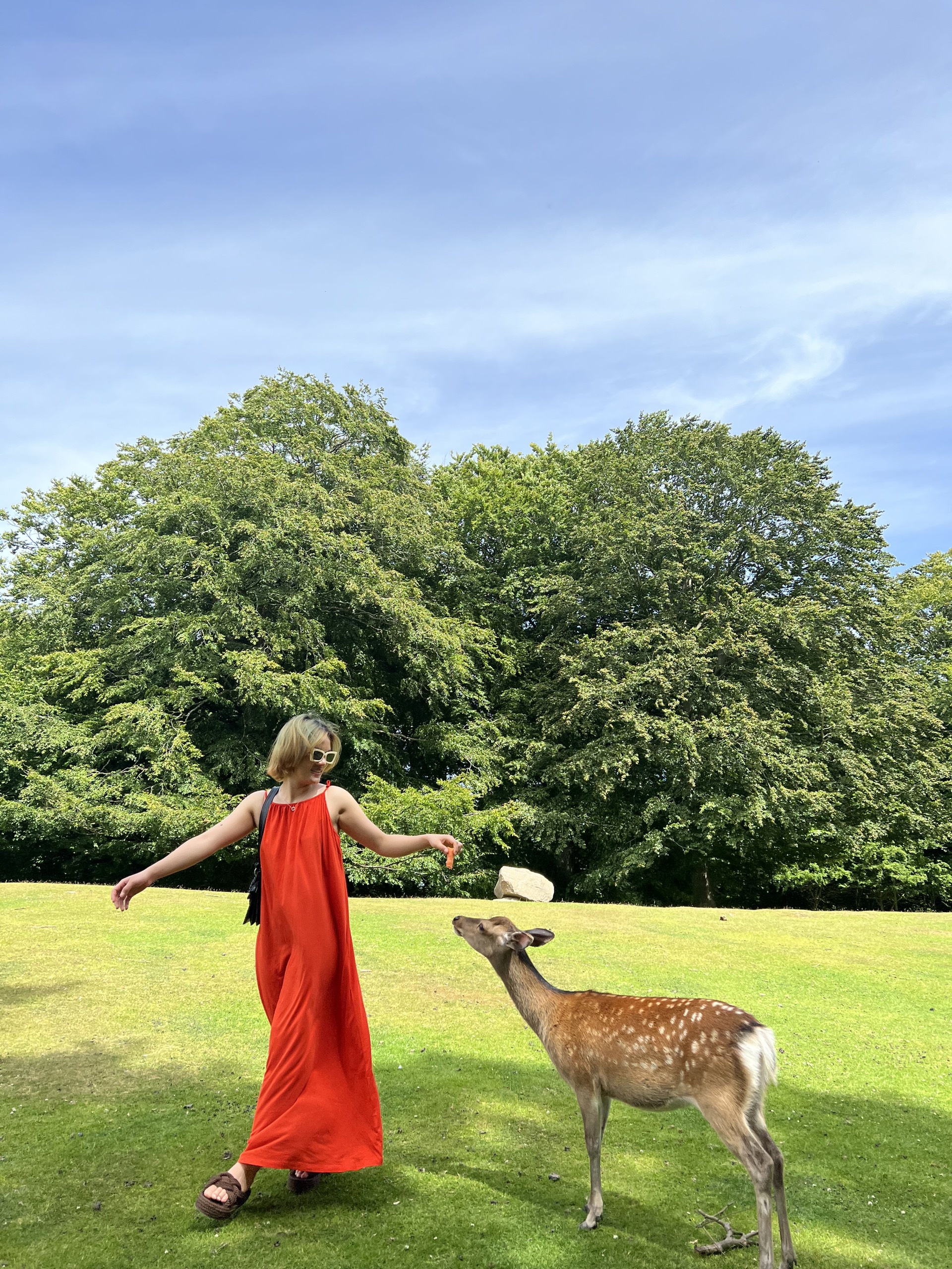 Núi Lưỡi Quỷ Trolltunga ảnh 6 Nui Luoi Quy Trolltunga anh 6