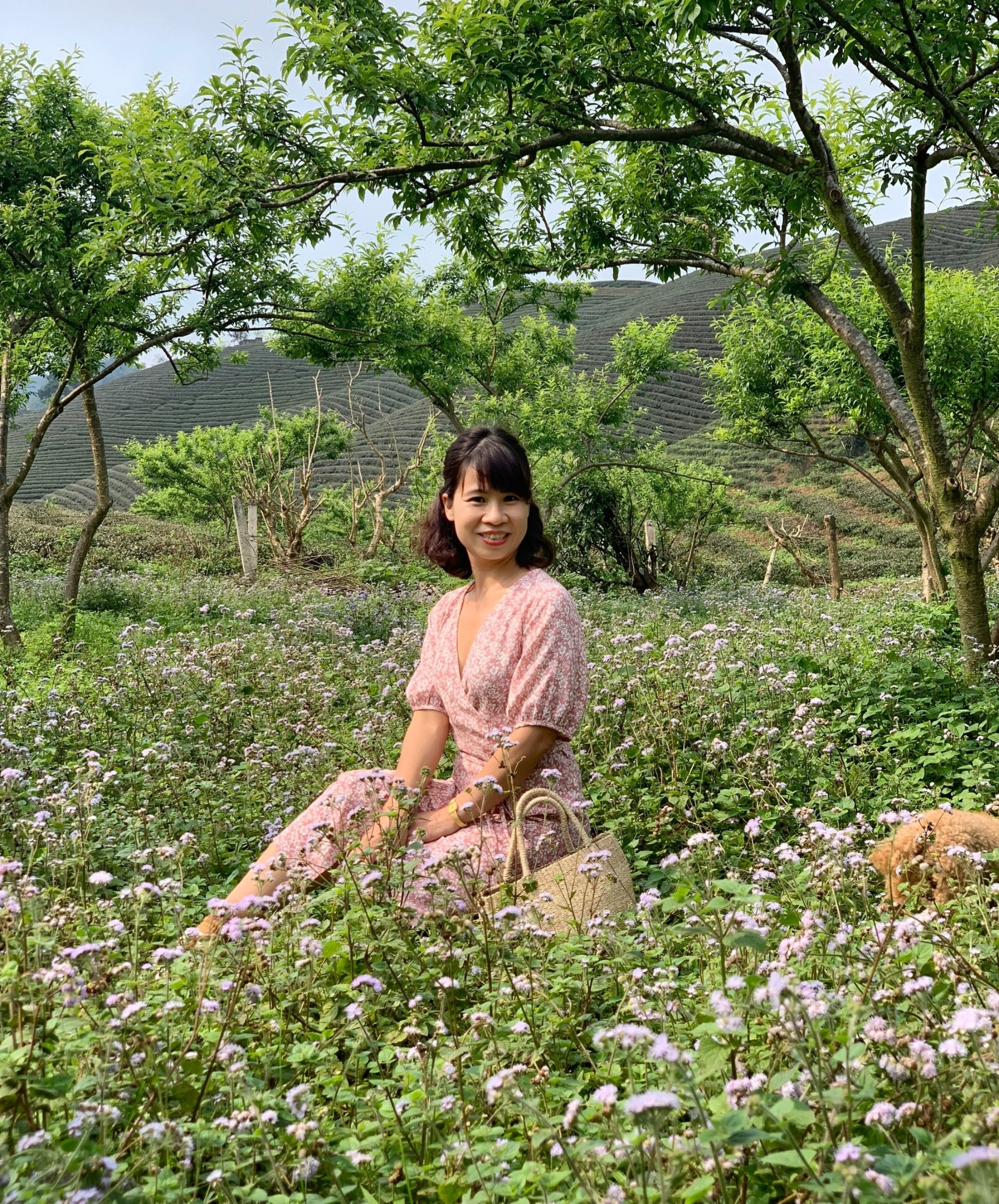 Bỏ phố về rừng ảnh 10 Bo pho ve rung anh 10