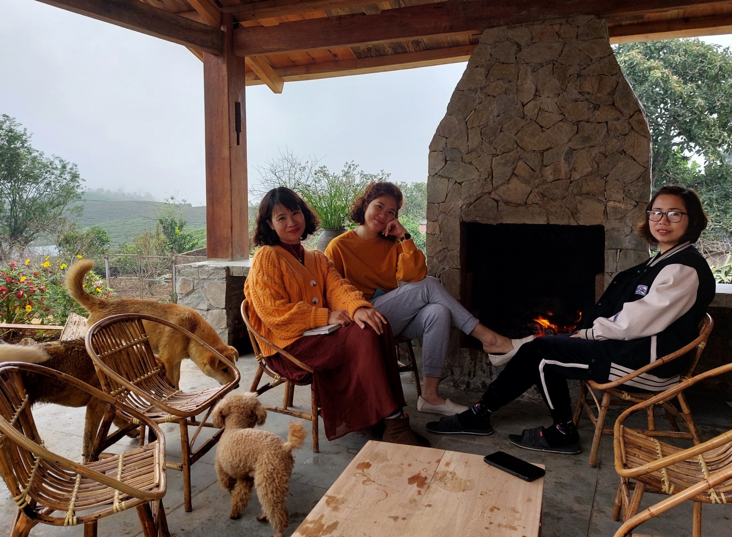 Bo pho ve rung anh 7