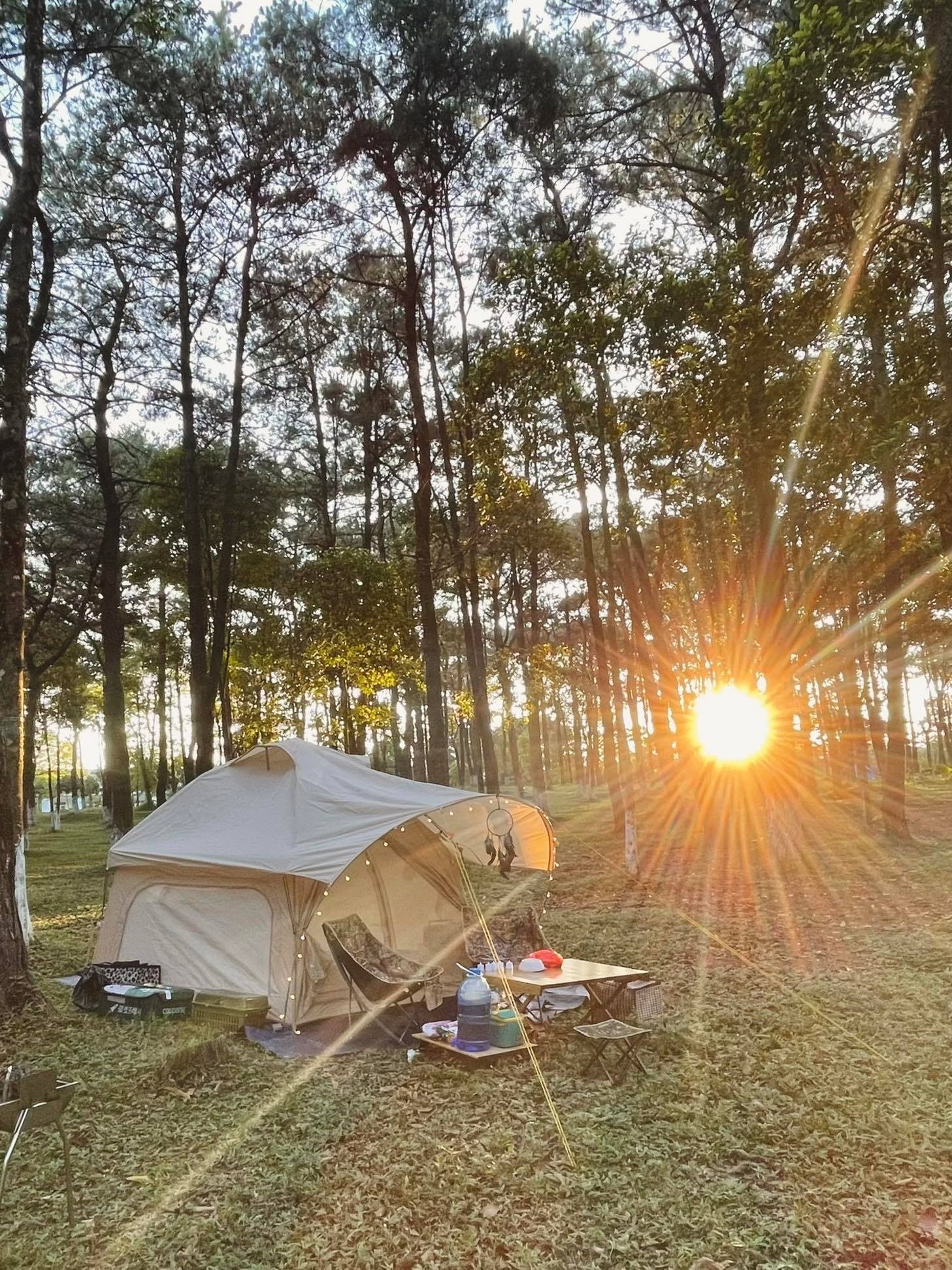 Leu noc cam trai anh 6