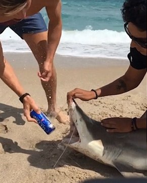 Chup anh cau view anh 9