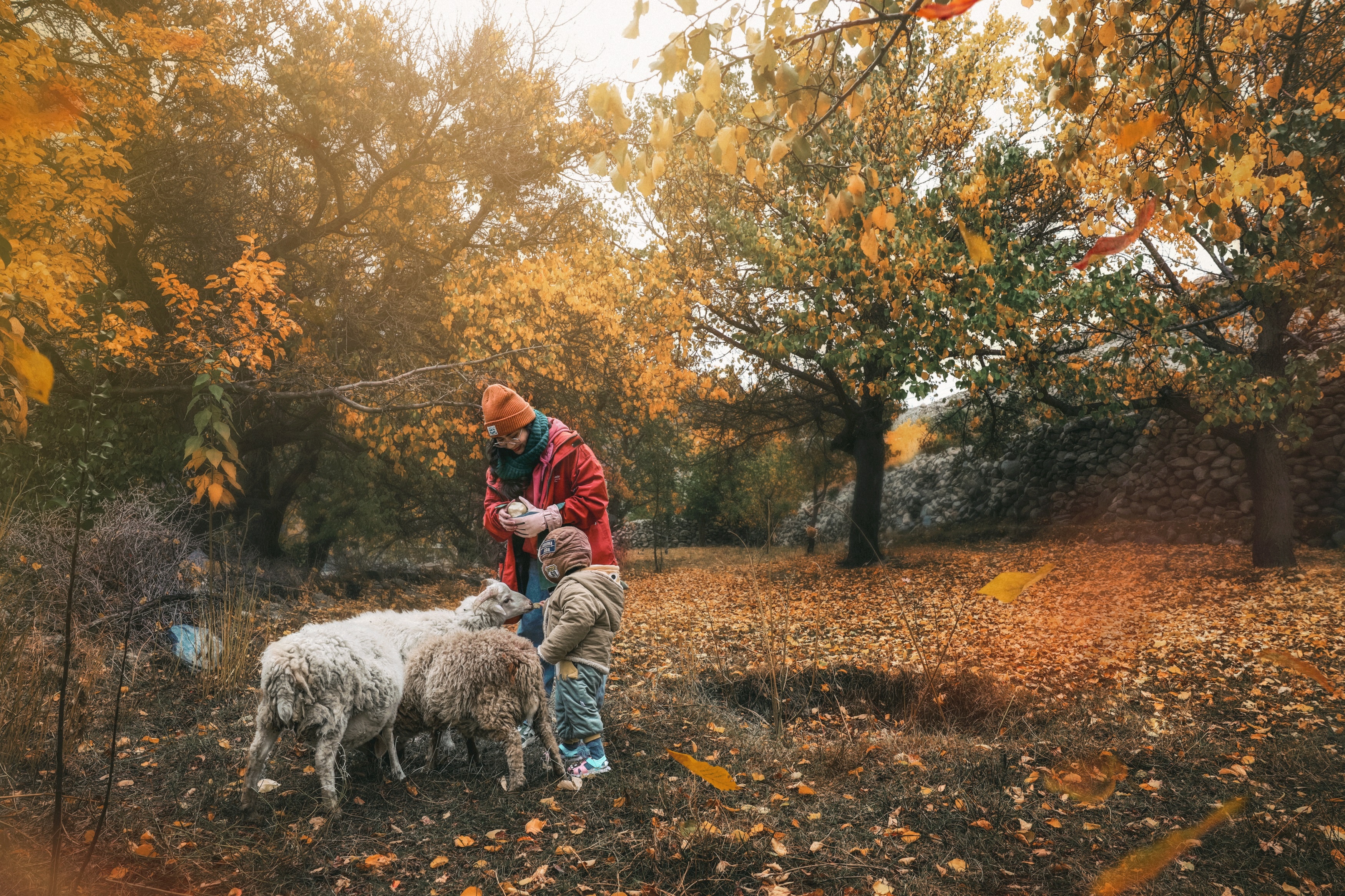 Du lịch Pakistan ảnh 3 Du lich Pakistan anh 3