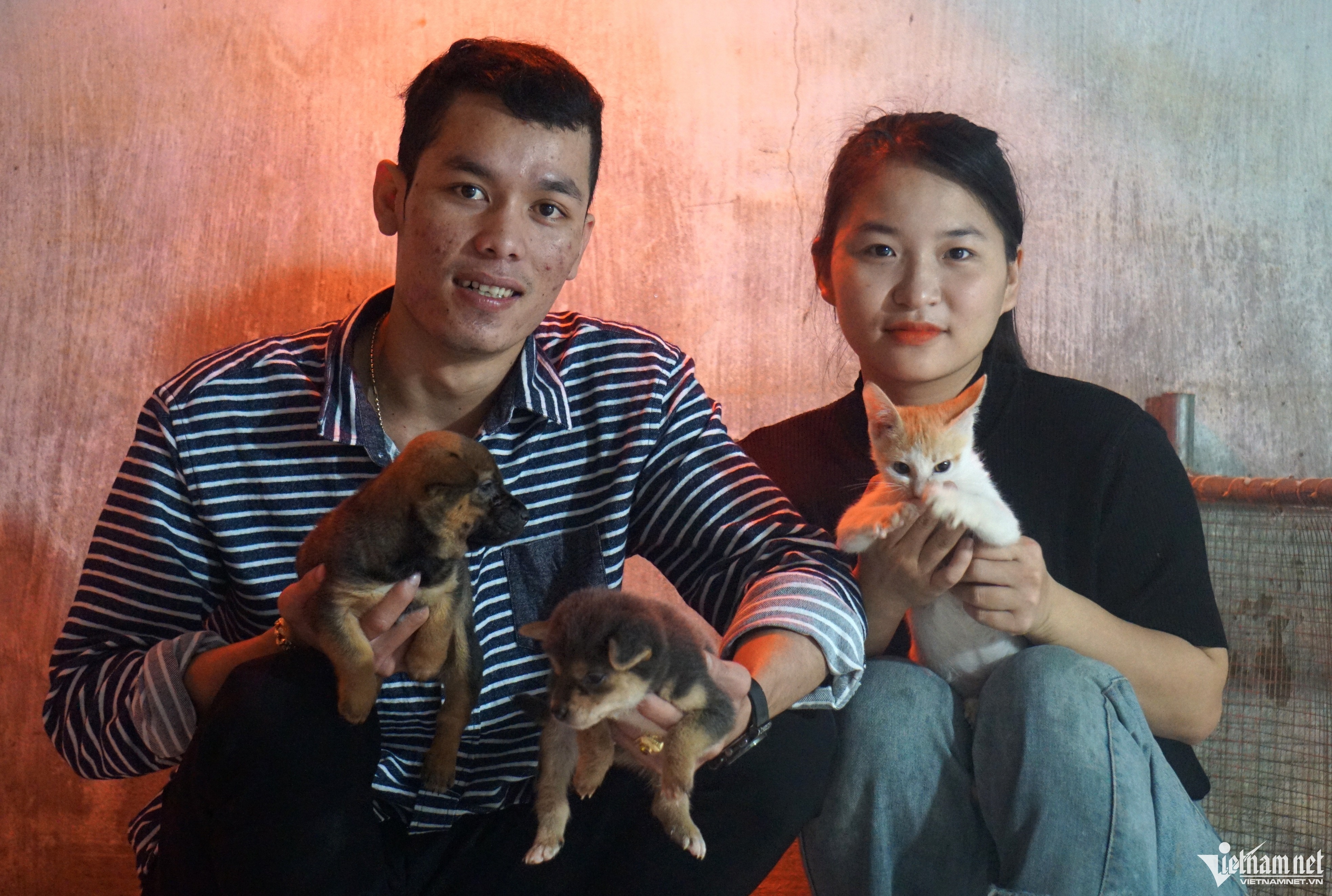 cuu ho cho meo anh 3