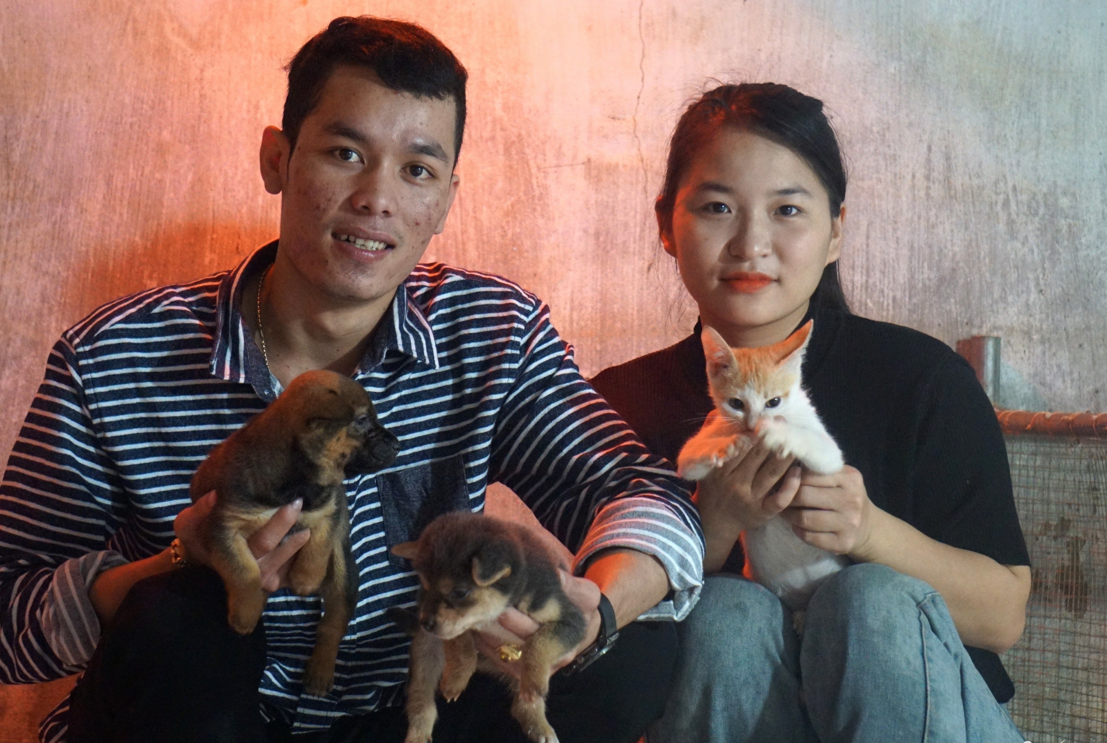 Biet doi cuu ho cho, meo o Da Nang hinh anh