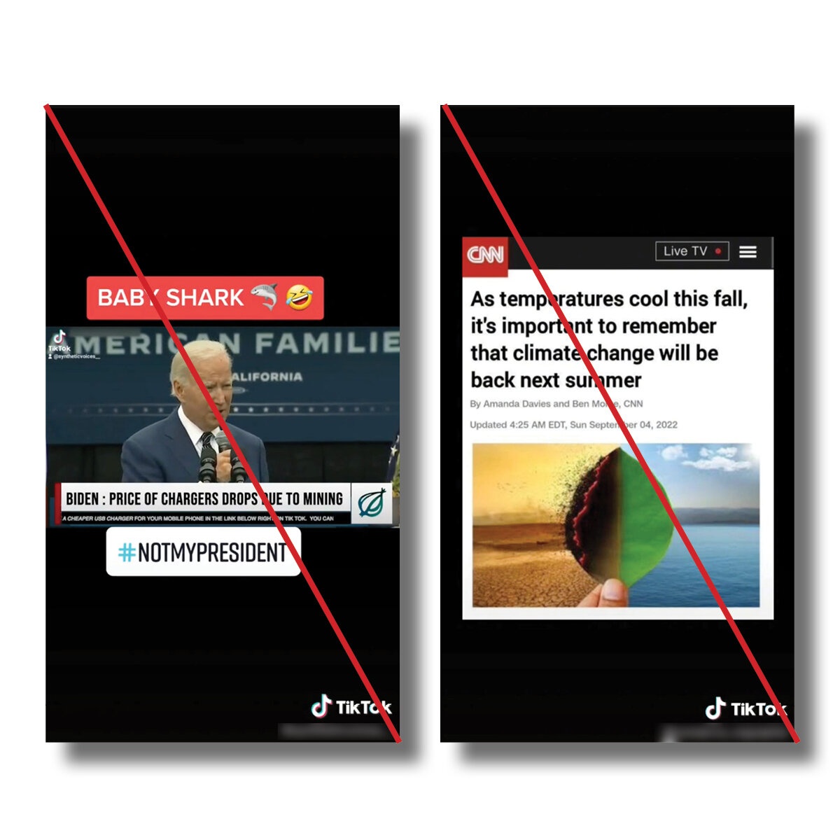 Tin gia tren TikTok anh 2