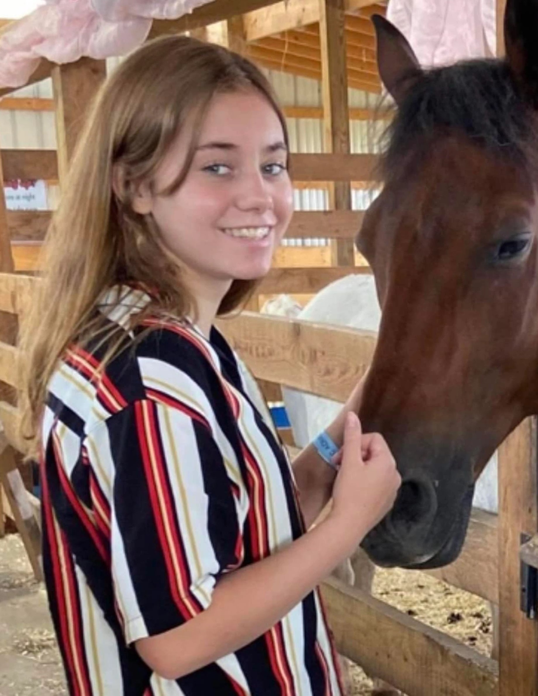 Bao luc hoc duong anh 1