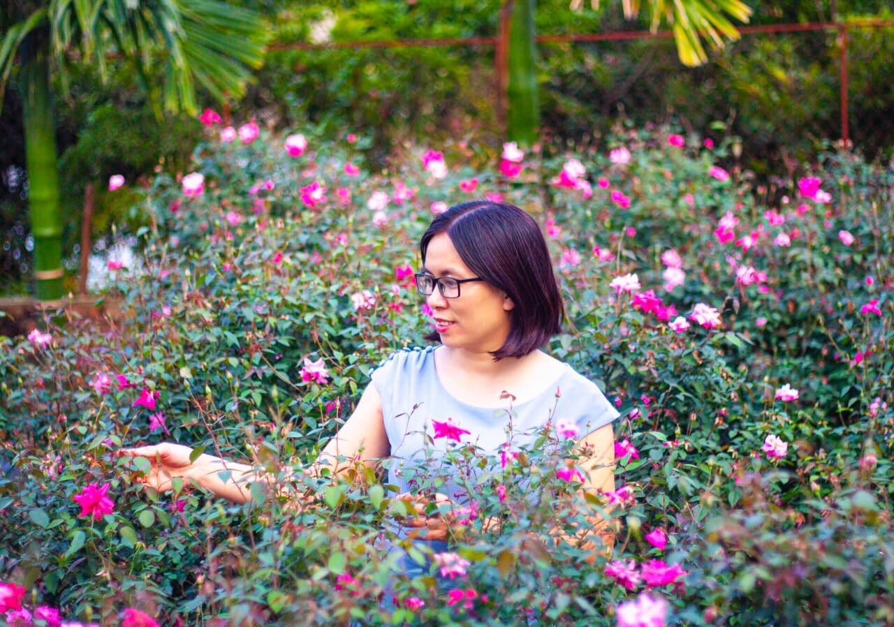 Cách trồng hoa hồng ảnh 2 Cach trong hoa hong anh 2