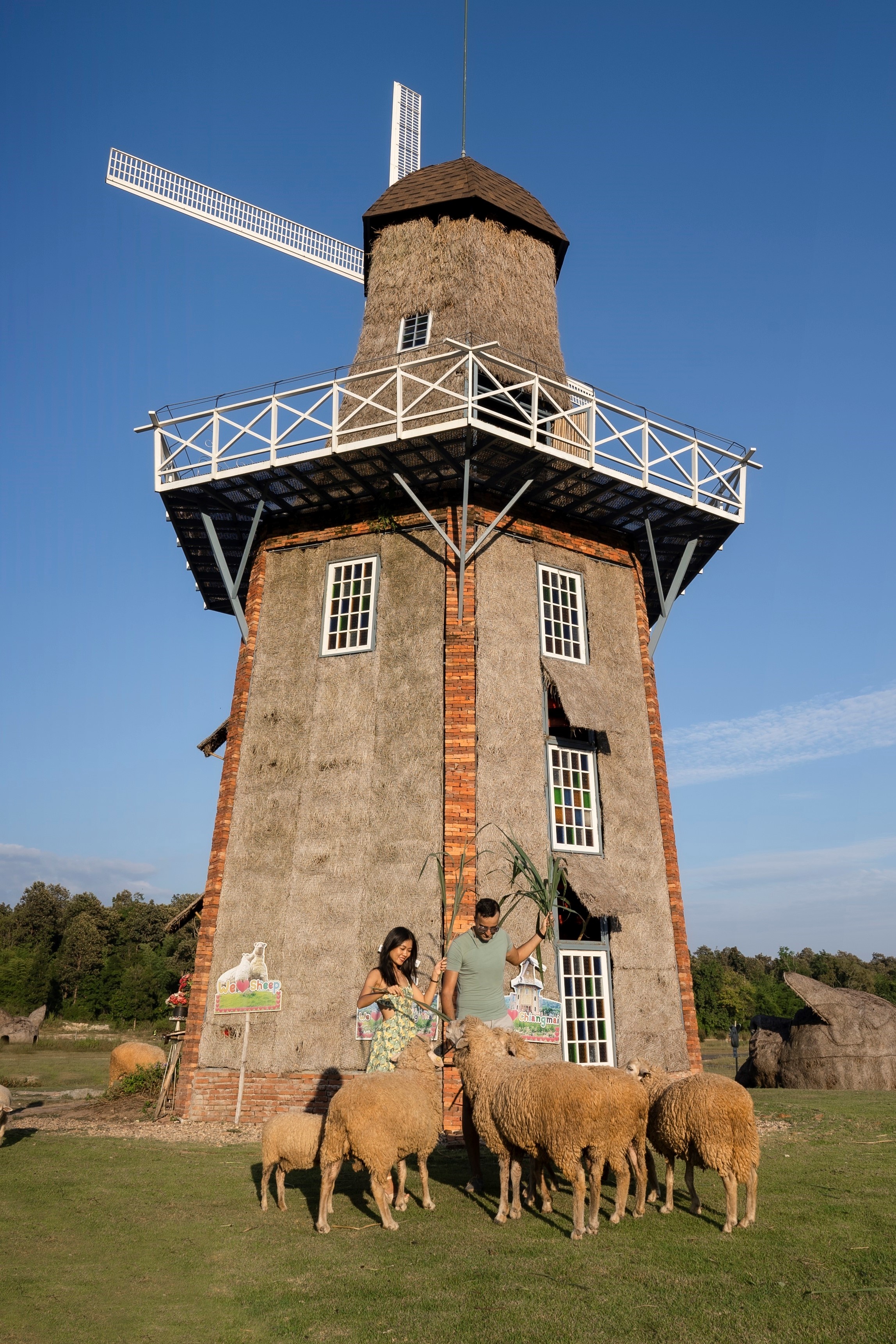 Du mục kỹ thuật số ảnh 8 Du muc ky thuat so anh 8