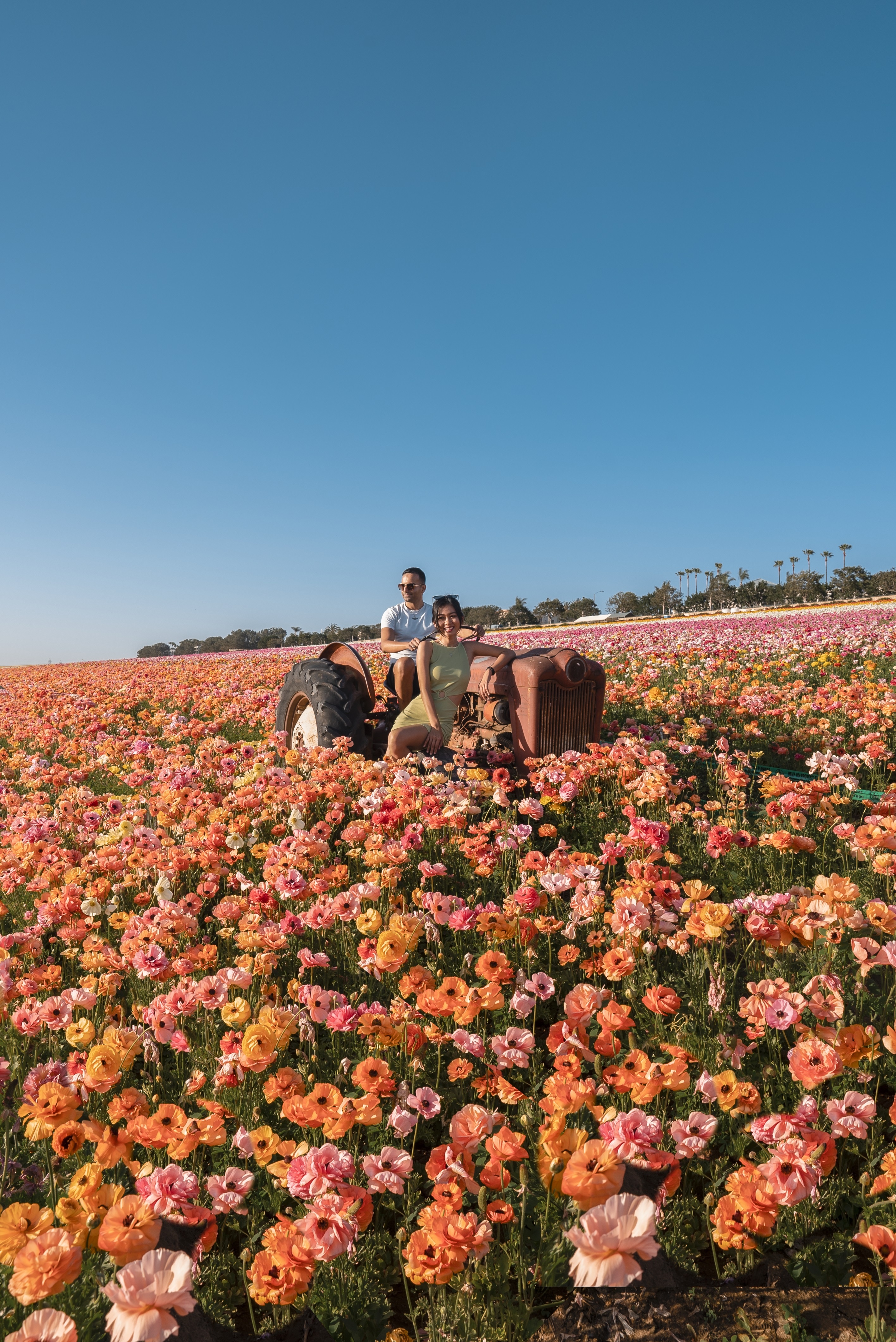 Du mục kỹ thuật số ảnh 12 Du muc ky thuat so anh 12