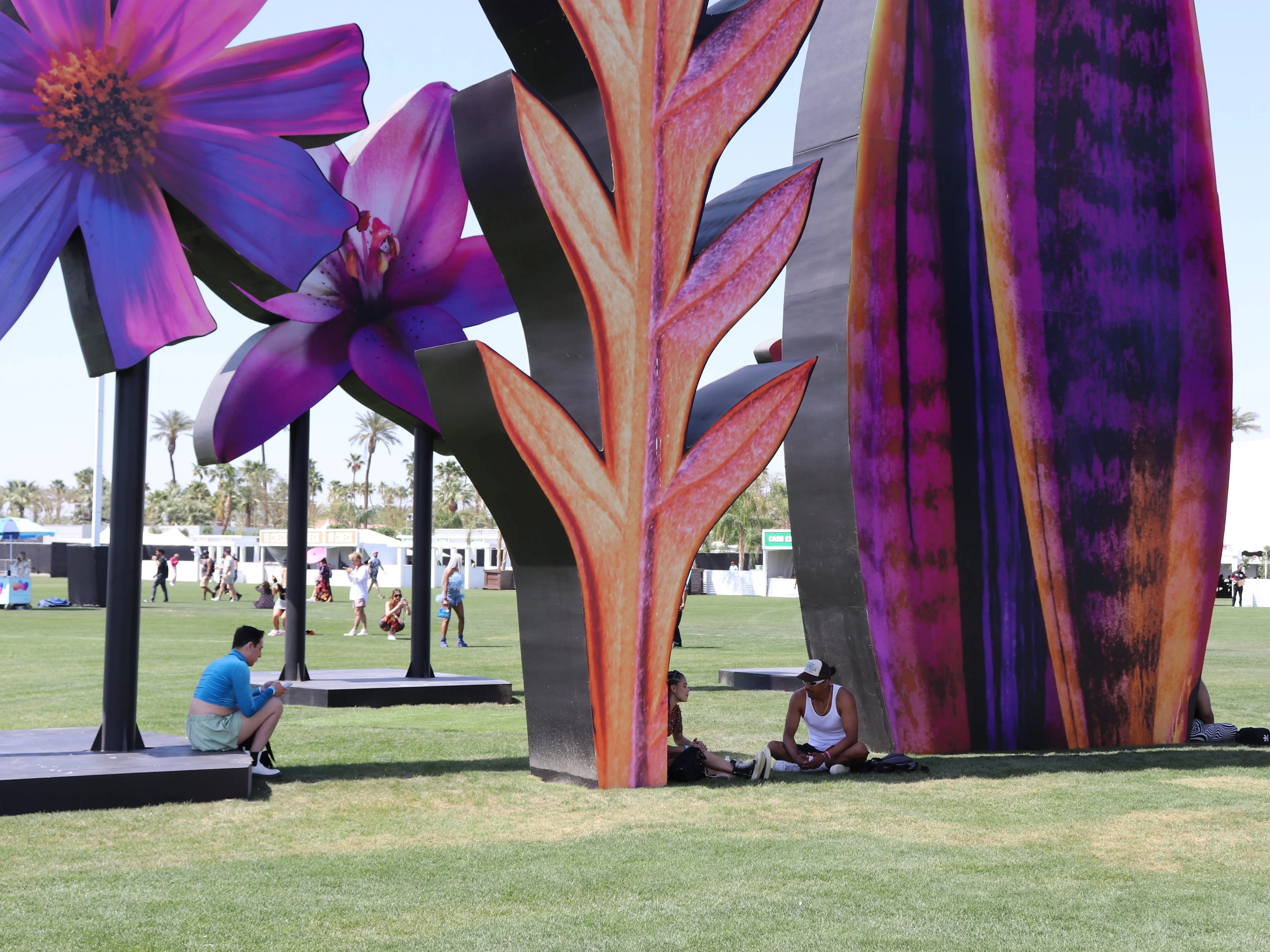 Coachella ảnh 8 Coachella anh 8