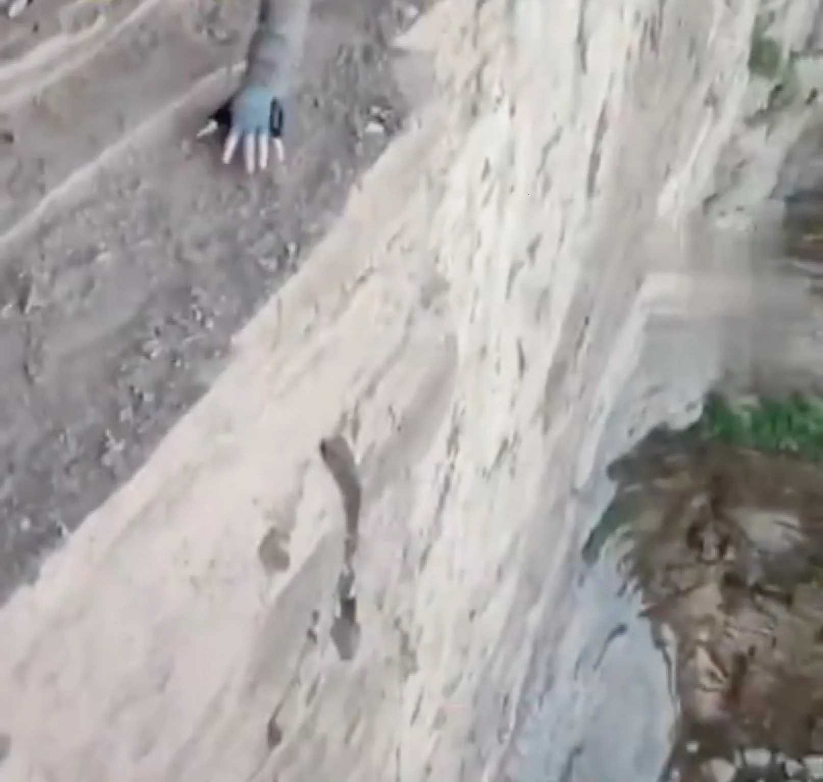 Bò trên mép vách đá ảnh 1 Bo tren mep vach da anh 1