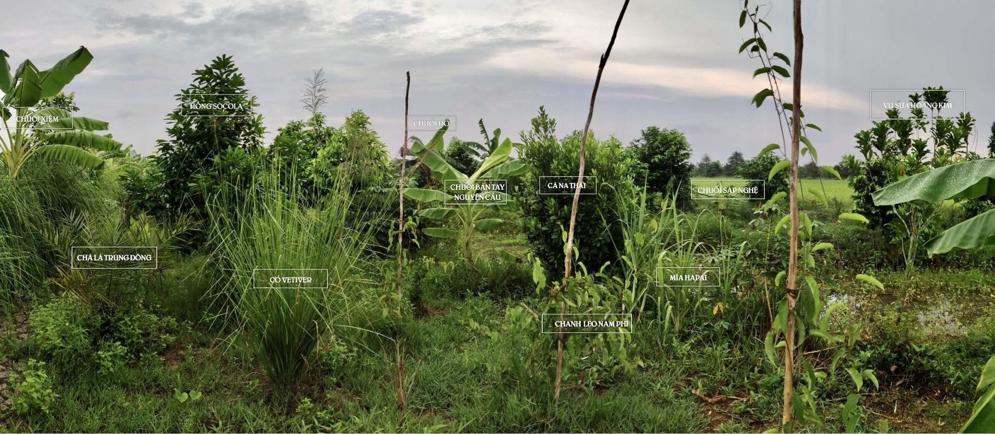 nguoi tre lam nong nghiep anh 2