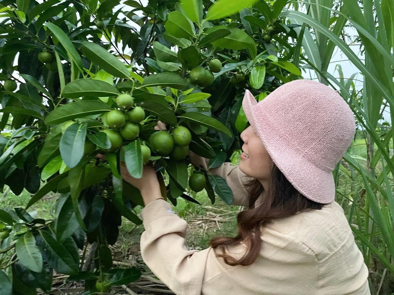 nguoi tre lam nong nghiep anh 3