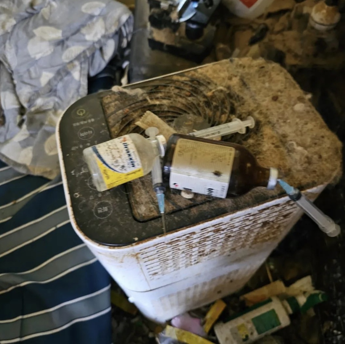 Trai nhan giong cho con anh 1