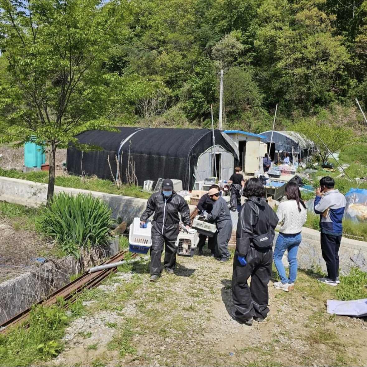 Trai nhan giong cho con anh 4